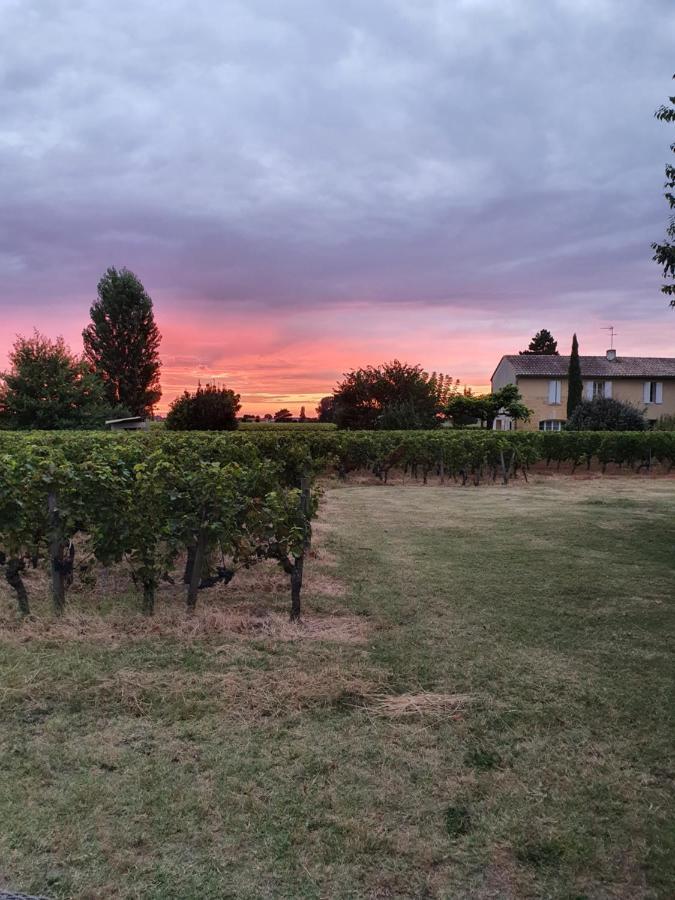 299 Bigaroux Hotel Saint-Emilion Ngoại thất bức ảnh